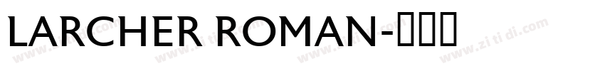 LARCHER ROMAN字体转换